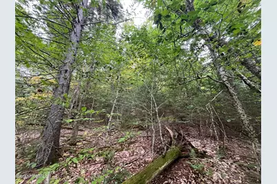 0 Manley Phelps Rd, Monroe, MA 01350 - Photo 4