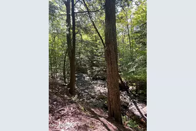 0 Central Shaft Rd, Florida, MA 01247 - Photo 4