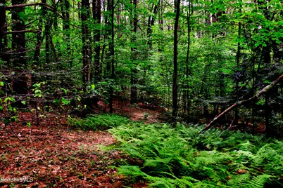 66 Scott Rd, Lanesborough, MA 01237 - Photo 14