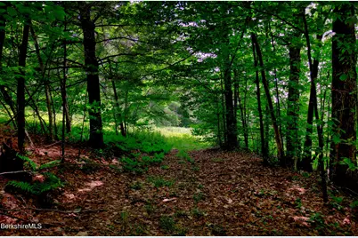 66 Scott Rd, Lanesborough, MA 01237 - Photo 10