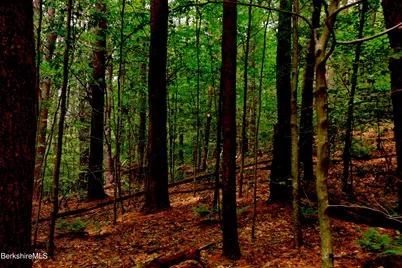 66 Scott Rd, Lanesborough, MA 01237 - Photo 12