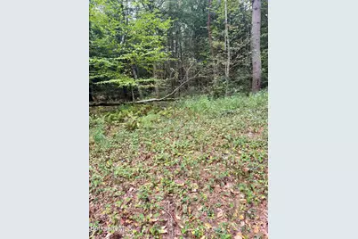 0 N Beech Plain Rd, Sandisfield, MA 01255 - Photo 8