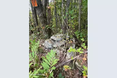 0 North St, Windsor, MA 01270 - Photo 6