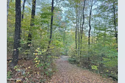 0 Hayes Hill Rd, New Marlboro, MA 01244 - Photo 2