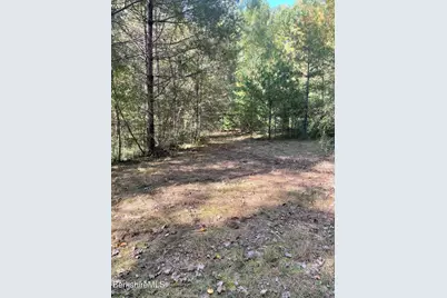 0 Hartsville New Marlborough Rd, New Marlboro, MA 01230 - Photo 4