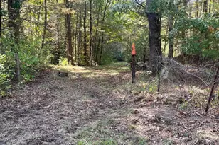 0 Hartsville-New Marlborough Rd, New Marlboro, MA 01230 - Photo 1