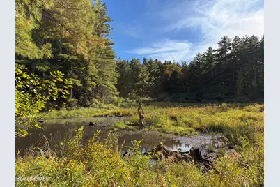 0 Gould Rd, Monterey, MA 01245 - Photo 10