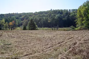 88 Great Barrington Rd, West Stockbridge, MA 01266 - Photo 1