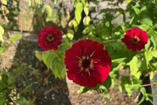 497 S Main St, Great Barrington, MA 01230 - Photo 8