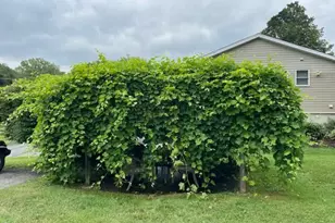 41 Highland Ave, Pittsfield, MA 01201 - Photo 8