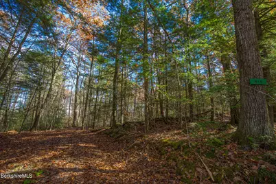 314 & 316 Lakeshore Dr, Sandisfield, MA 01255 - Photo 6