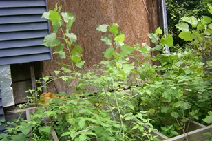 306 Union St, North Adams, MA 01247 - Photo 8