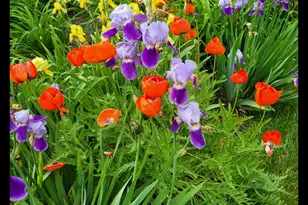 8 Samson St, Pittsfield, MA 01201 - Photo 46