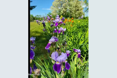 8 Samson St, Pittsfield, MA 01201 - Photo 48