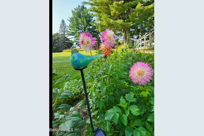 8 Samson St, Pittsfield, MA 01201 - Photo 54