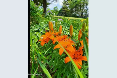 8 Samson St, Pittsfield, MA 01201 - Photo 38