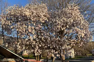 13 Water St, Adams, MA 01220 - Photo 14