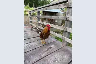 26A Stonebridge Way, Tyringham, MA 01264 - Photo 54