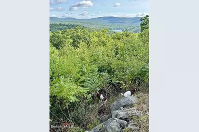 26A Stonebridge Way, Tyringham, MA 01264 - Photo 44