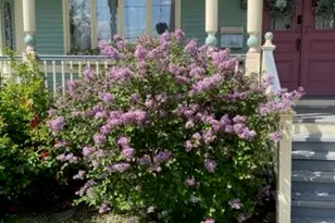 67 Cherry St, North Adams, MA 01247 - Photo 58