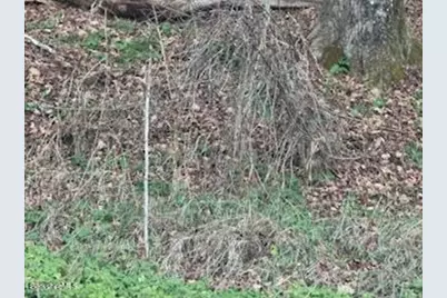 0 Clayton Mill River Rd, New Marlboro, MA 01244 - Photo 1