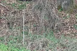 0 Clayton Mill River Rd, New Marlboro, MA 01244 - Photo 1