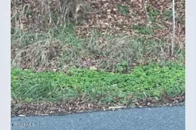 0 Clayton Mill River Rd, New Marlboro, MA 01244 - Photo 2