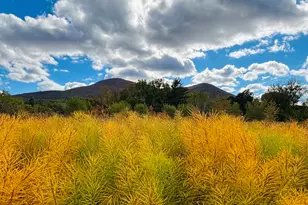 520 State Rd, North Adams, MA 01247 - Photo 16