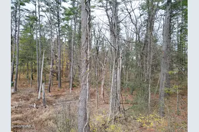2 Terra Ferma Dr, Egremont, MA 01258 - Photo 10