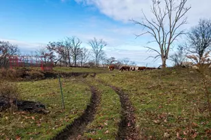 1130 E Rd, Richmond, MA 01254 - Photo 50