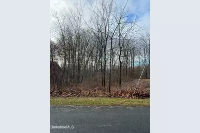 I11001904 Scammell Ave & Brown St., Pittsfield, MA 01201 - Photo 1