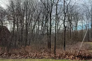 I11001904 Scammell Ave & Brown St, Pittsfield, MA 01201 - Photo 1