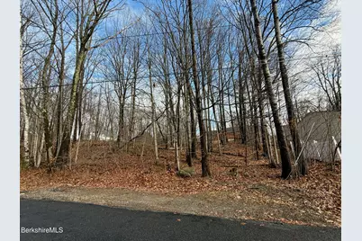 I11001904 Scammell Ave & Brown St., Pittsfield, MA 01201 - Photo 2