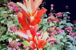 60 Churchill Crest, Pittsfield, MA 01201 - Photo 32