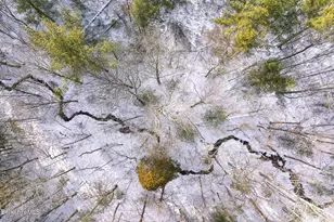 83 Maple Hill Rd, West Stockbridge, MA 01266 - Photo 74