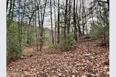 0 W Oxbow Rd, Charlemont, MA 01339 - Photo 4