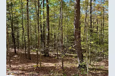 0 Potters Road Extension, Charlemont, MA 01339 - Photo 2