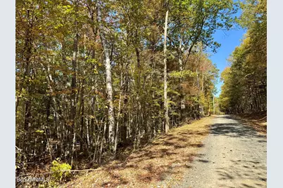 0 Potters Road Extension, Charlemont, MA 01339 - Photo 1