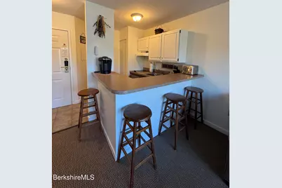 37 Corey Rd #234, Hancock, MA 01237 - Photo 8