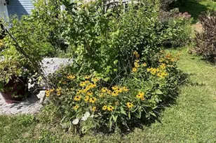 215 Partridge Rd, Pittsfield, MA 01201 - Photo 6