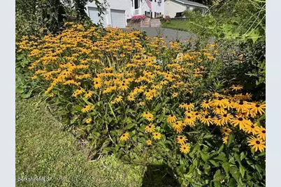 215 Partridge Rd, Pittsfield, MA 01201 - Photo 4