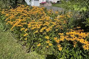 215 Partridge Rd, Pittsfield, MA 01201 - Photo 4