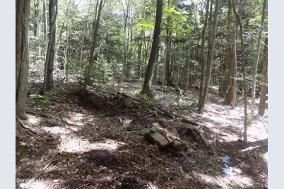 0 Moberg Rd, Becket, MA 01223 - Photo 8