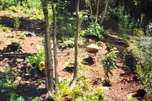 40 Prospect Hill Rd, Stockbridge, MA 01262 - Photo 44