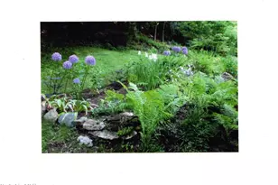 40 Prospect Hill Rd, Stockbridge, MA 01262 - Photo 40