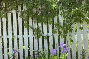 31 St Ann's Ave, Lenox, MA 01240 - Photo 2