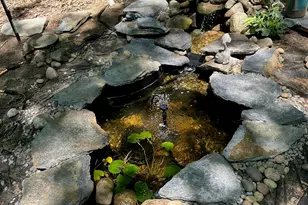 751 Park Hill Rd, Northampton, MA 01060 - Photo 44