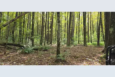 0 Miner Lots 2 & 3 Rd, Lanesborough, MA 01237 - Photo 22