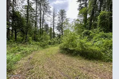 0 Glendale Rd, Stockbridge, MA 01262 - Photo 4