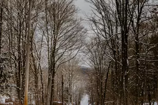 356 Slate Hill Rd, Austerlitz, NY 12017 - Photo 48